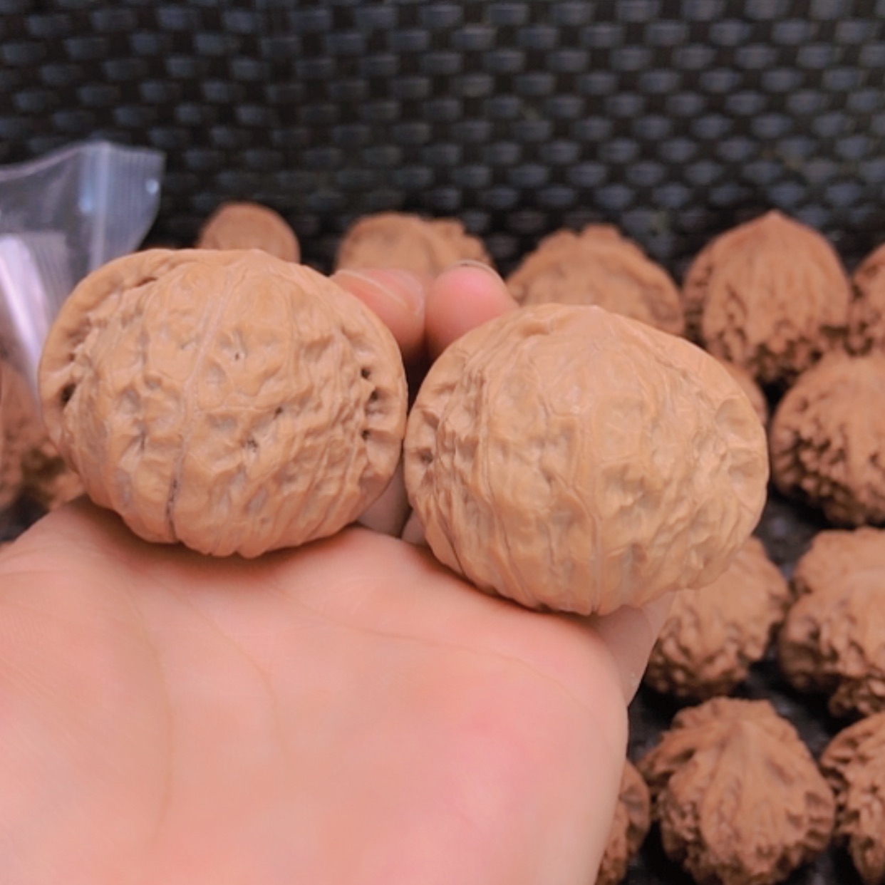 【闪购商品】核桃摆件新果41南瓜墩