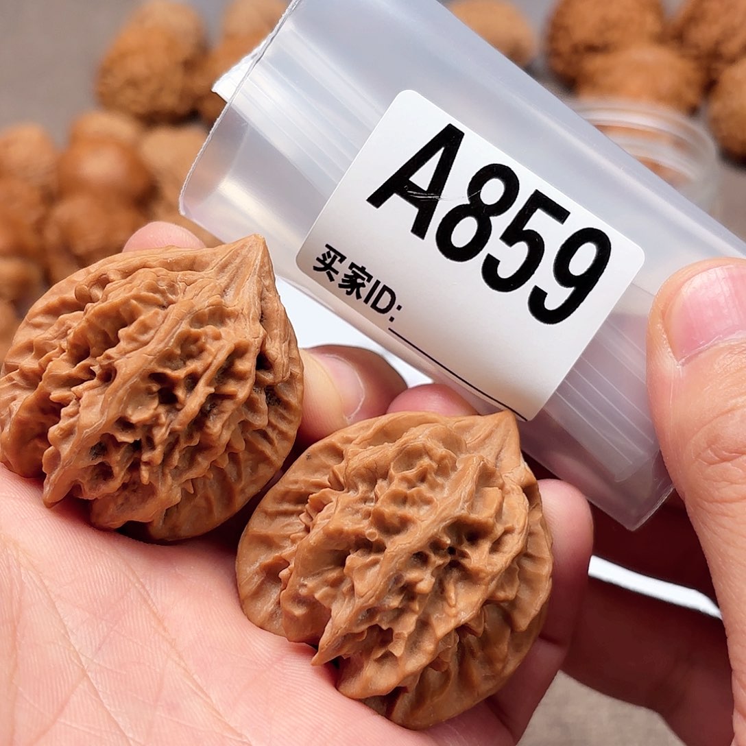 *****文玩核桃手串大龙