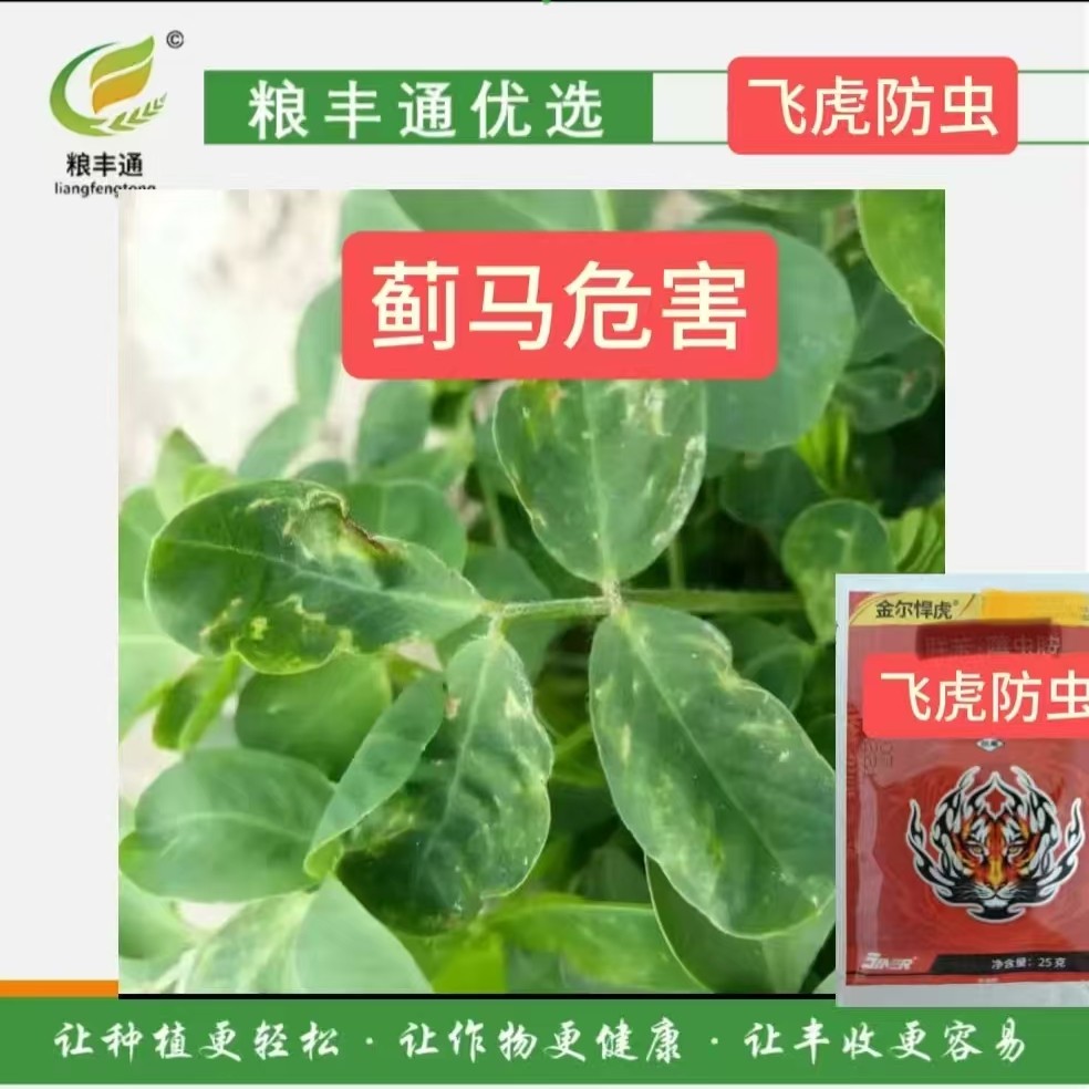 【13】飞虎防虫防蓟马飞虱