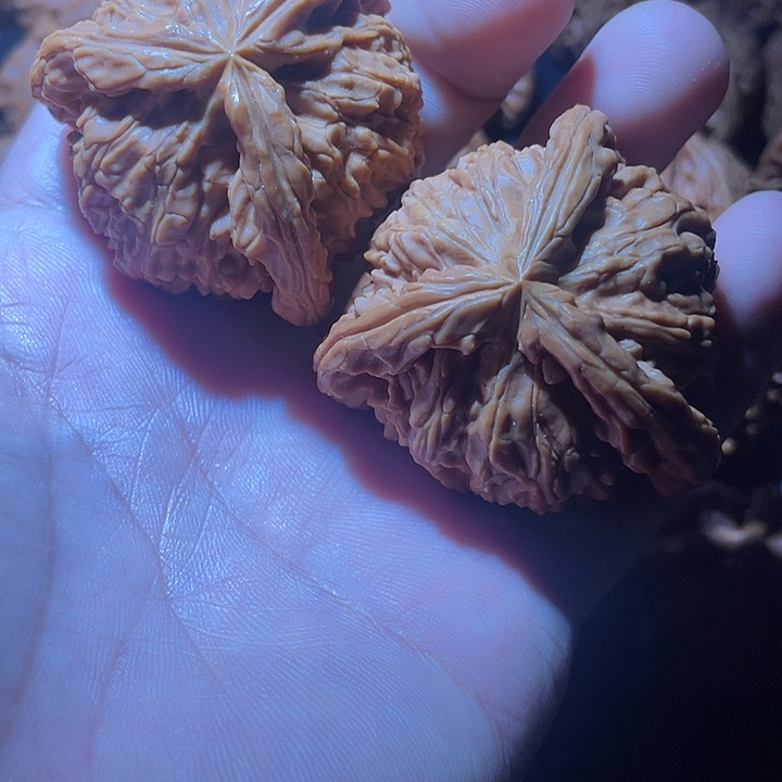 王***优吊坠文玩核桃亲亲亲亲