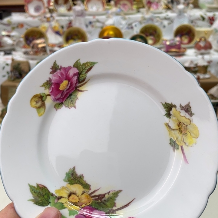 盘维多利亚欧洲中古