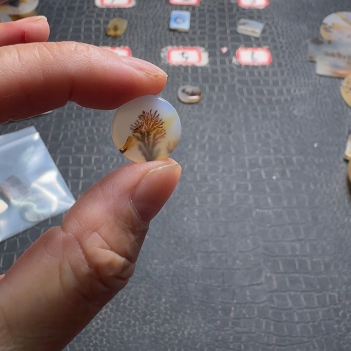 青***蕻玛瑙/玉髓未镶嵌珠宝奇石