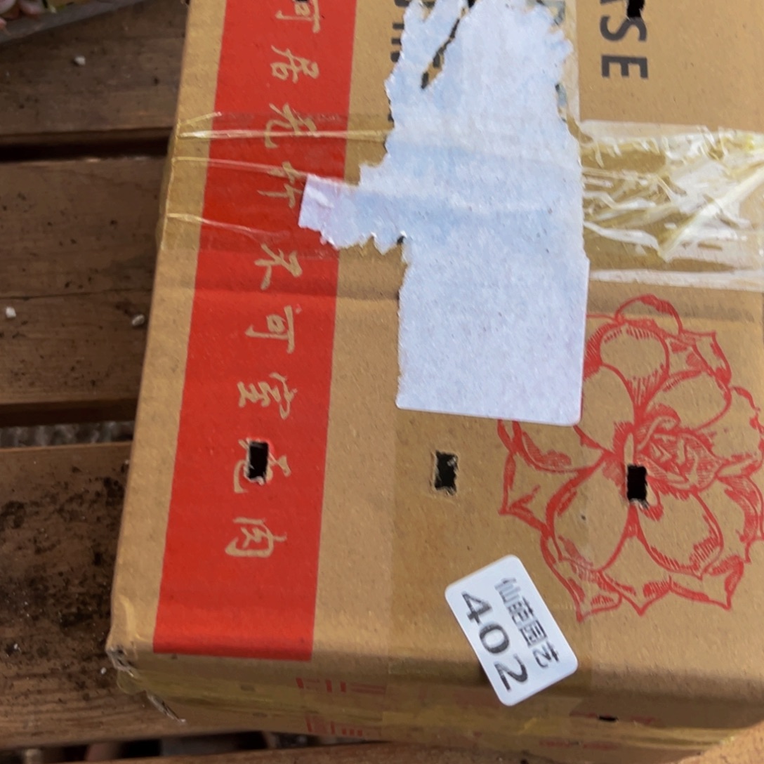 402大热天的一天从多肉