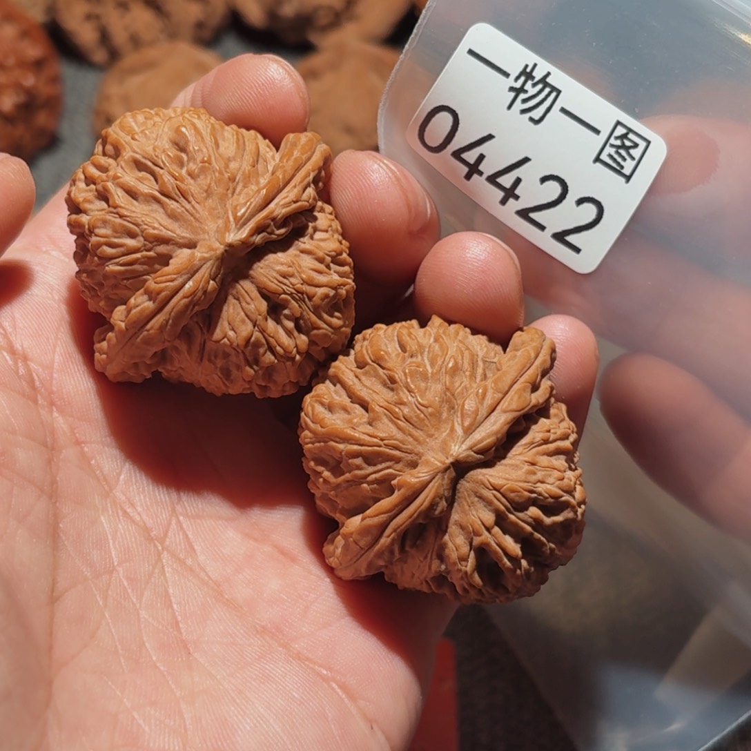 把件文玩核桃白狮子