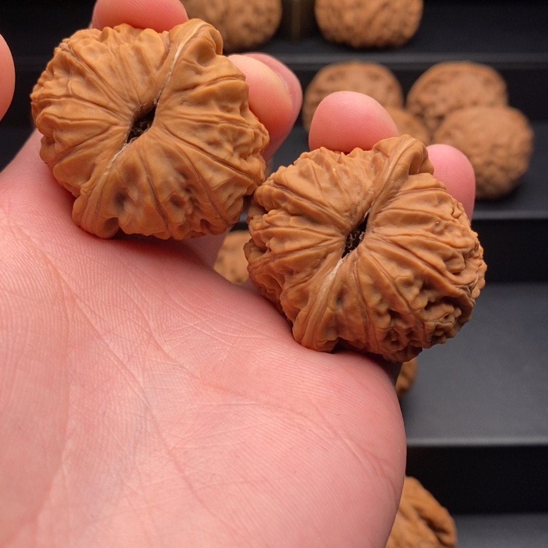 文玩核桃把件高*。元宝