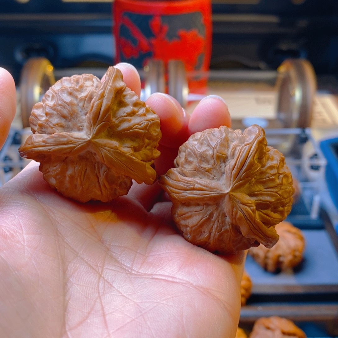 精品核桃43石门元宝奔