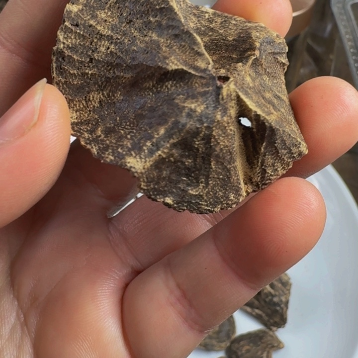 沉香沉香木制品海南淳化老壳子2克