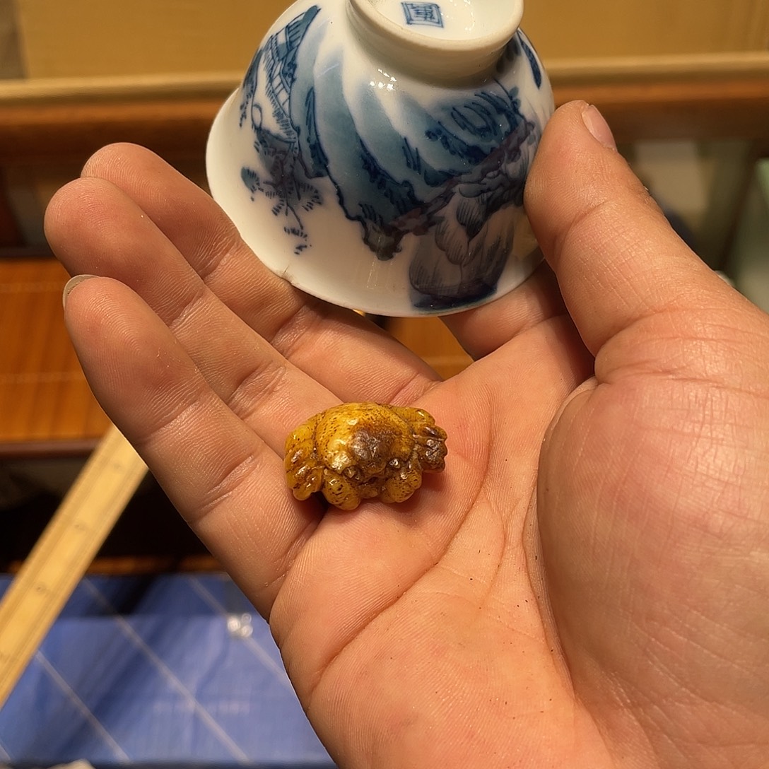 哈***木中古物品，谨慎参拍
