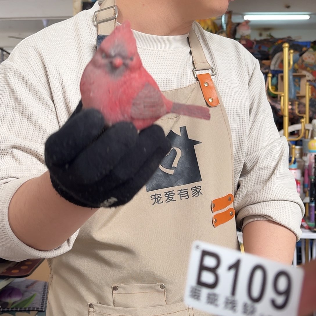 核桃木/黑胡桃（胡桃木）