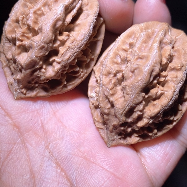 文玩核桃把件东北野生楸子小美39