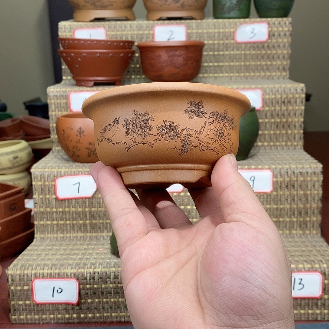 紫砂花盆我在等他