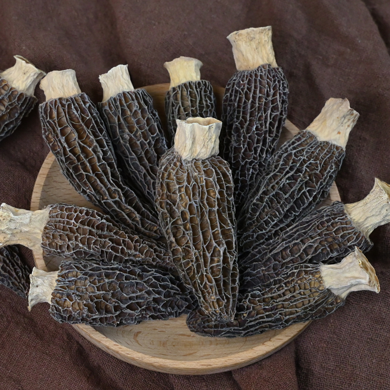 干货羊肚菌5公分左右云南高山货海拔3000米