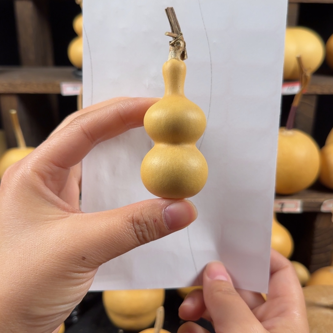 L***S葫芦葫芦葫芦葫芦