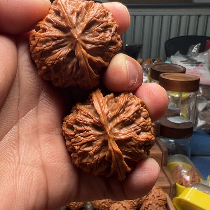 文玩核桃把件苹果园狮子头