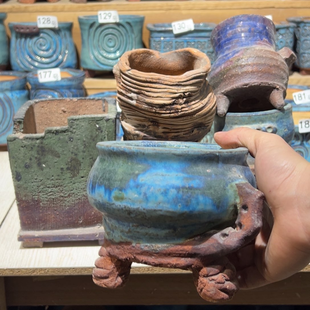 是***.尚雅陶坊多肉花盆，待选盆