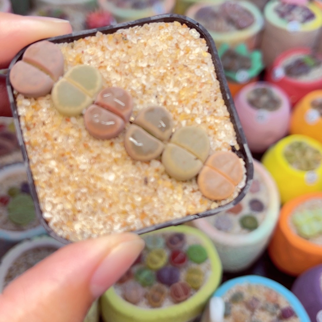 103 88888888888888888