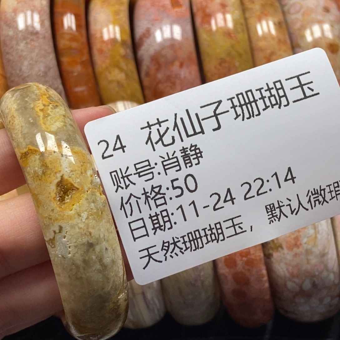 肖***静硅化珊瑚（珊瑚玉）未镶嵌珠宝半成品24