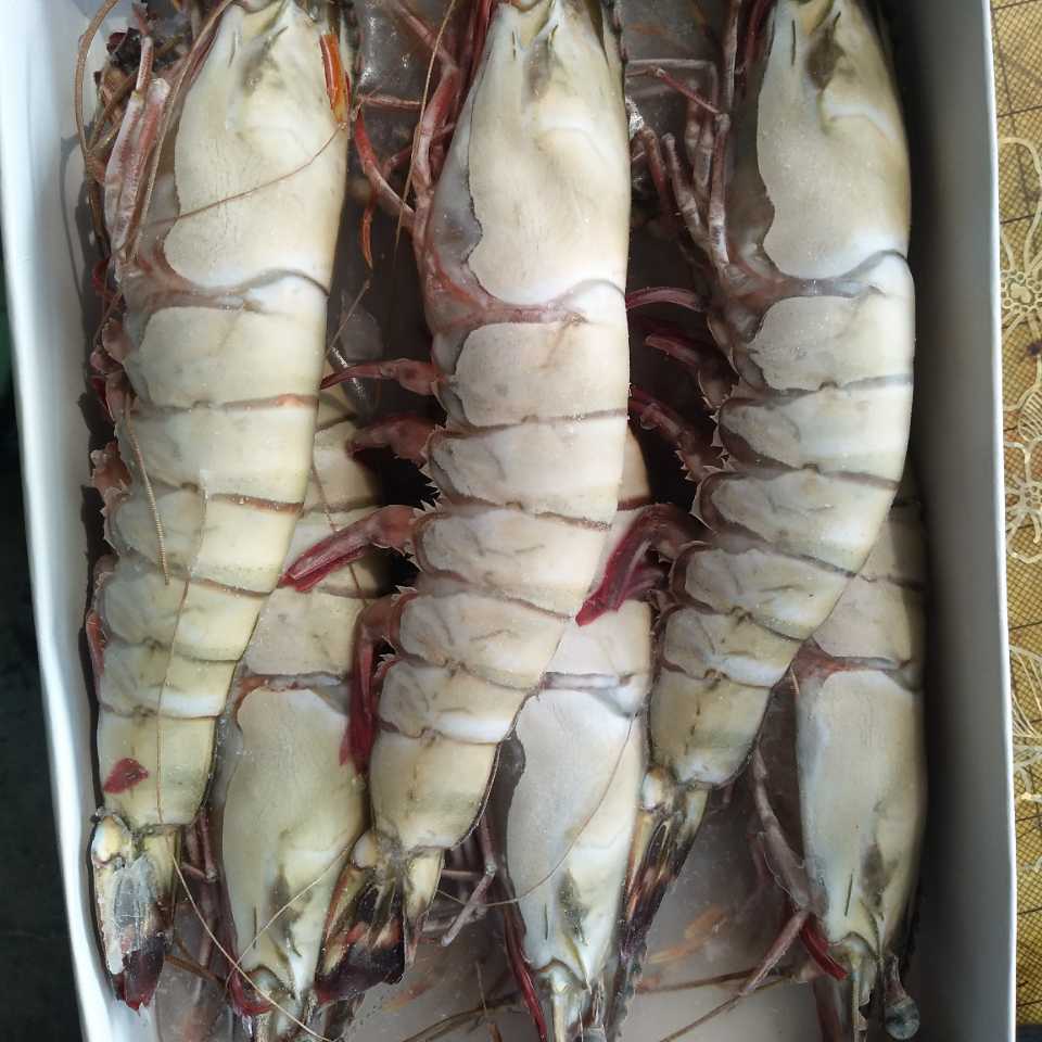 【小方精选】超大红虎虾 一斤3只  6只装