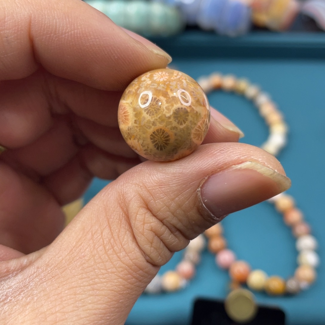 未镶嵌手镯硅化玉