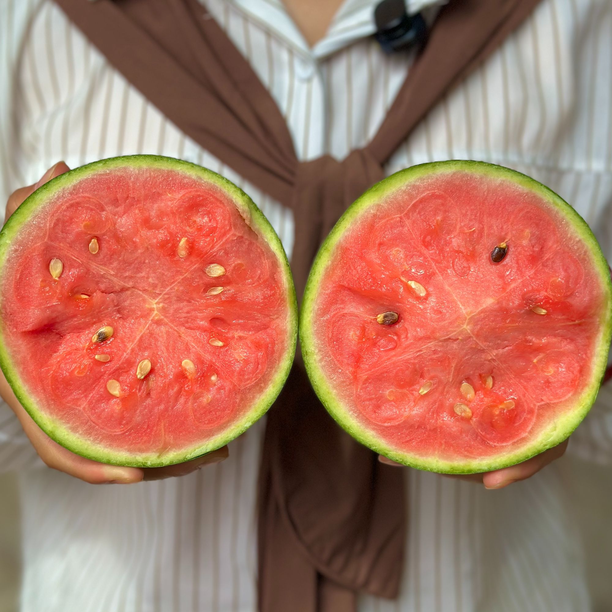 牛奶西瓜小吊瓜脆香甜头茬现摘现发农家自种新鲜5.5斤左右北京市