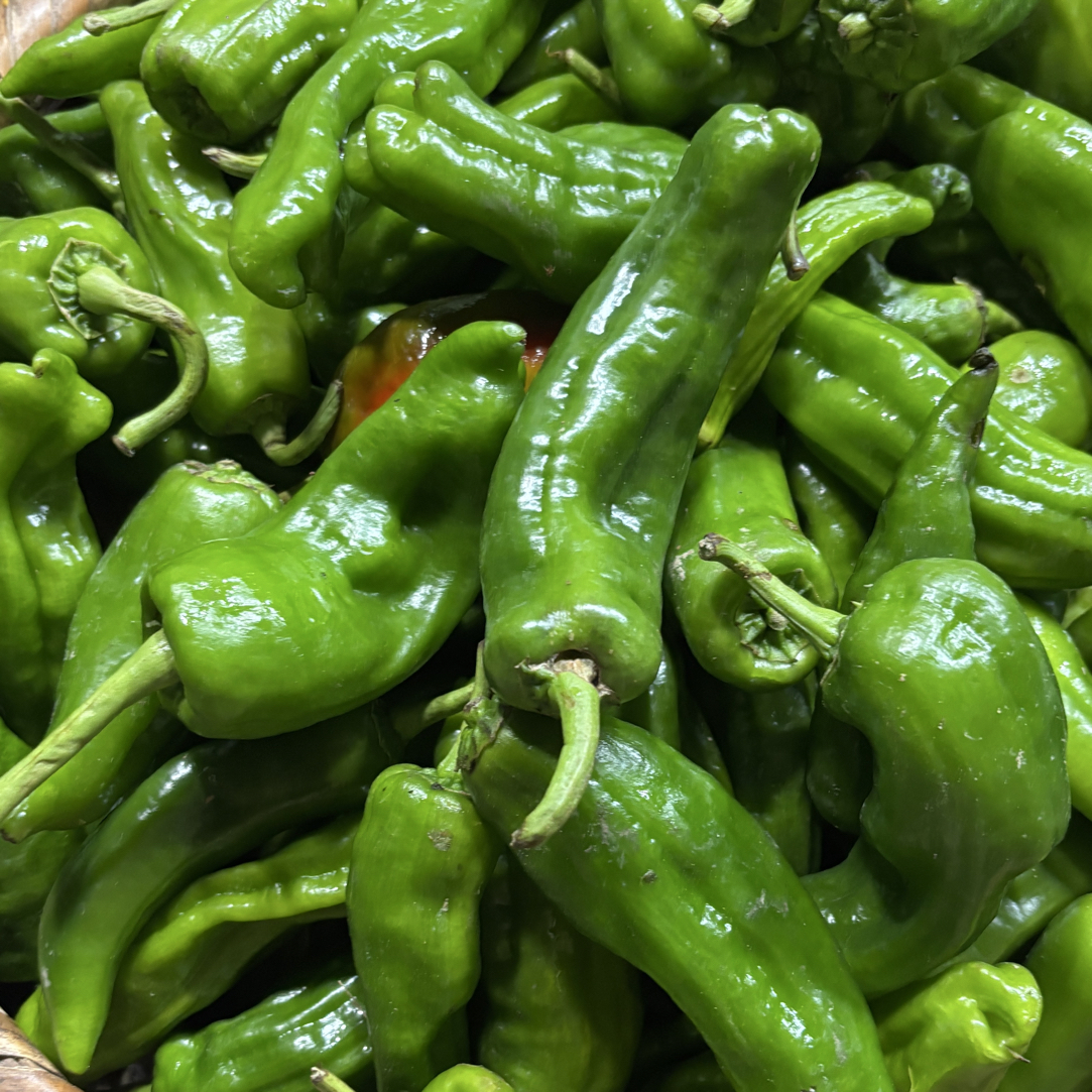 辣椒一哥山货现场收货蔬菜