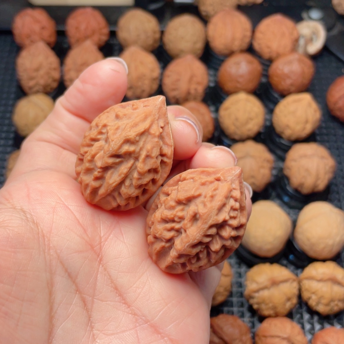 【闪购商品】把件文玩核桃喝**汤麦穗