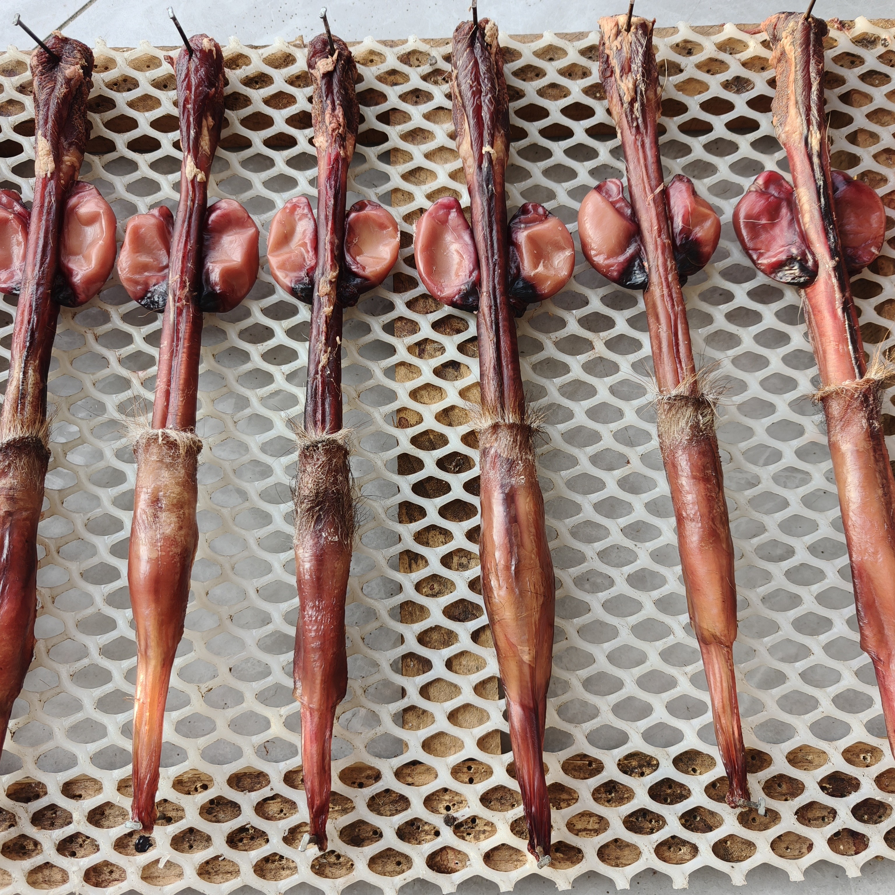 鹿宝男士煲汤泡酒打粉食材