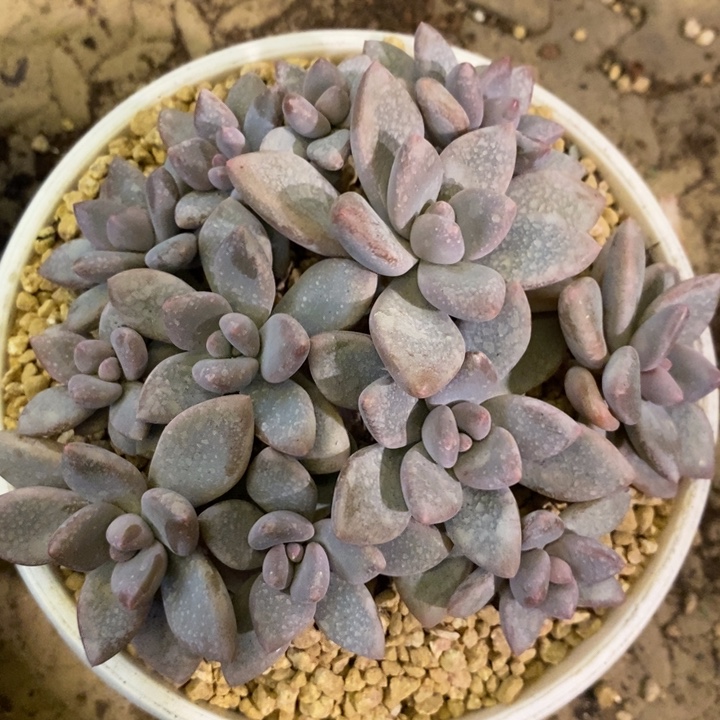 ****？888888888888888888