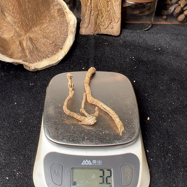 平***僧檀香木惠州产区树根料 3 克