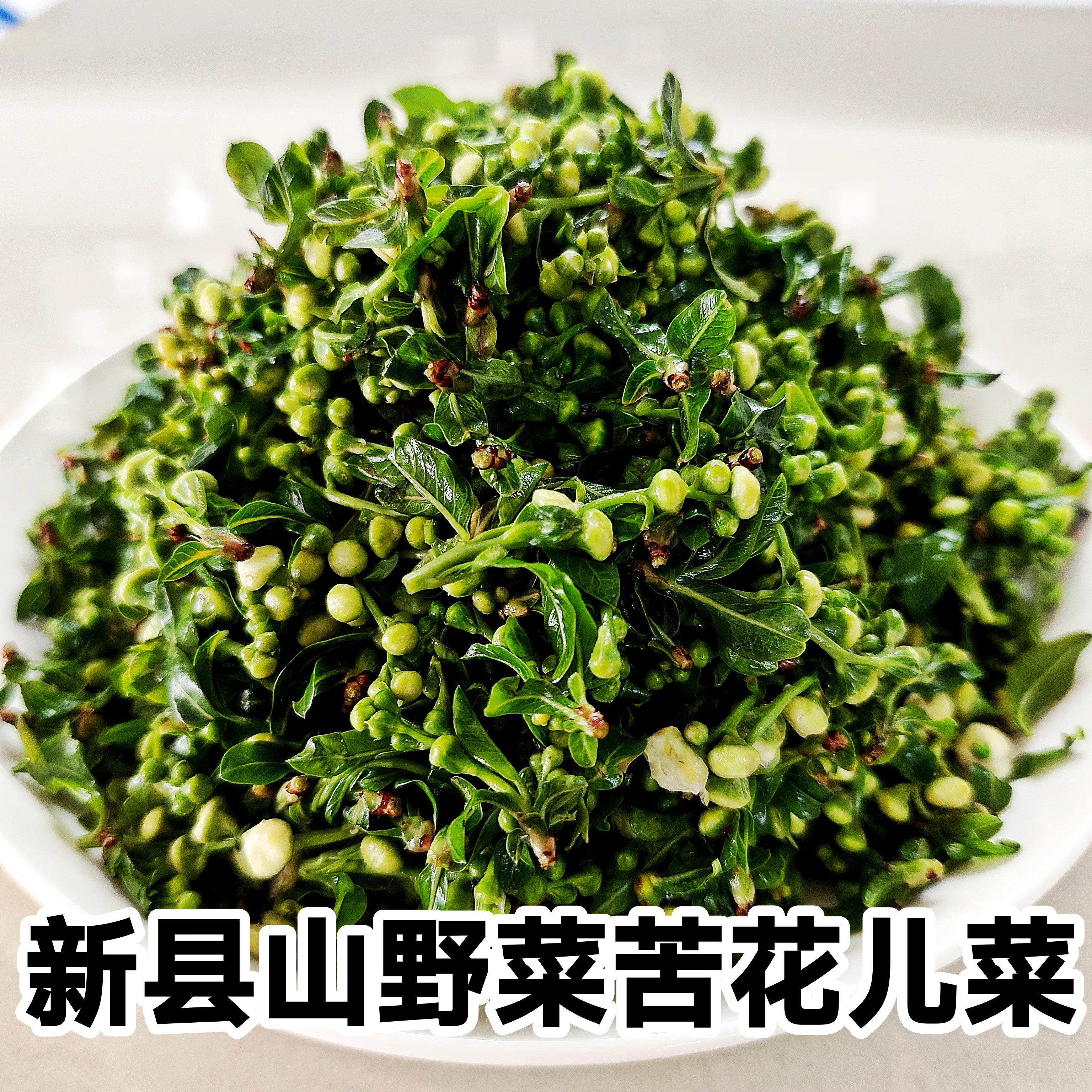 花儿河南新县特产野生山野菜珍珠花苦花菜白花菜焯水新鲜发货