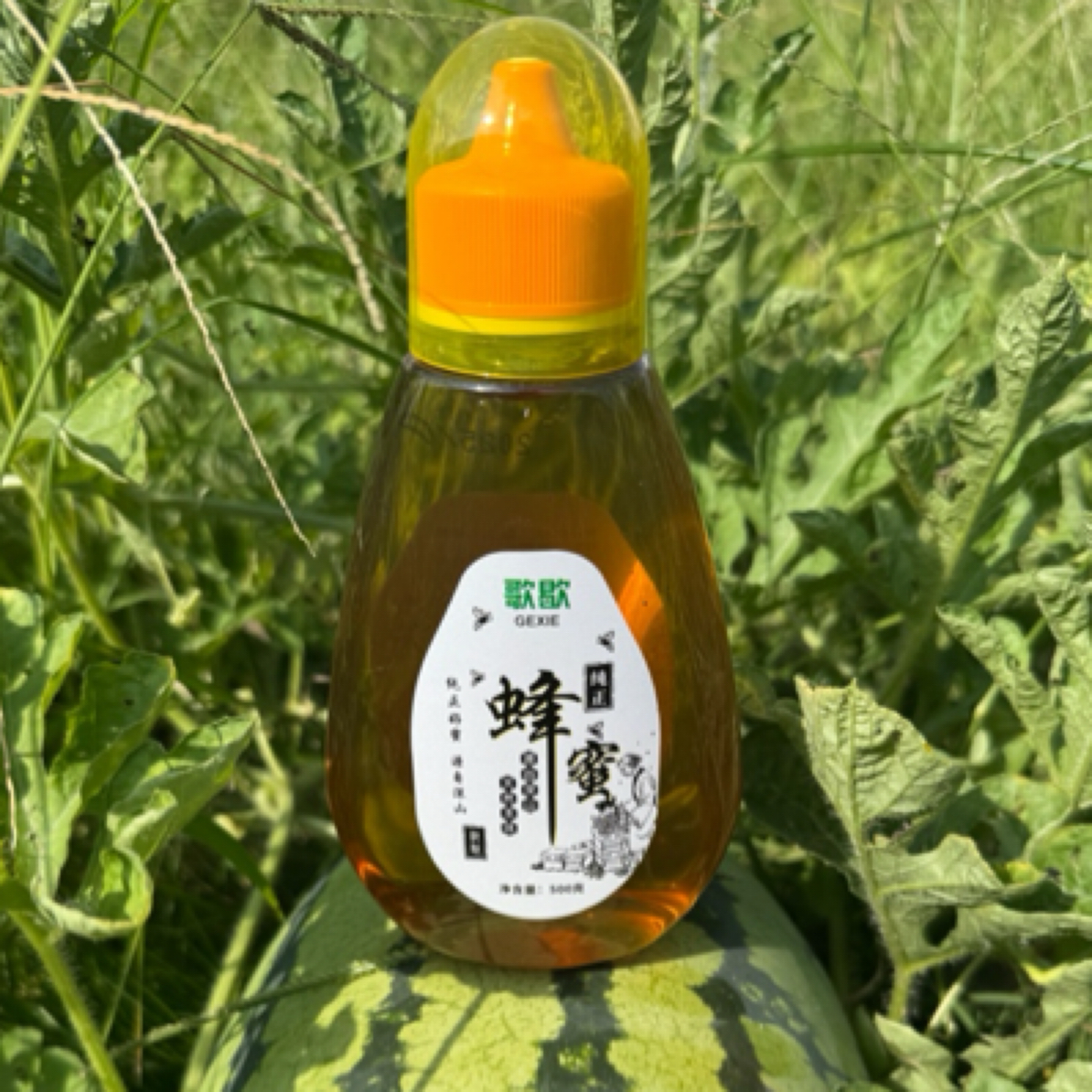 歌歇深山纯正土蜂蜜 
