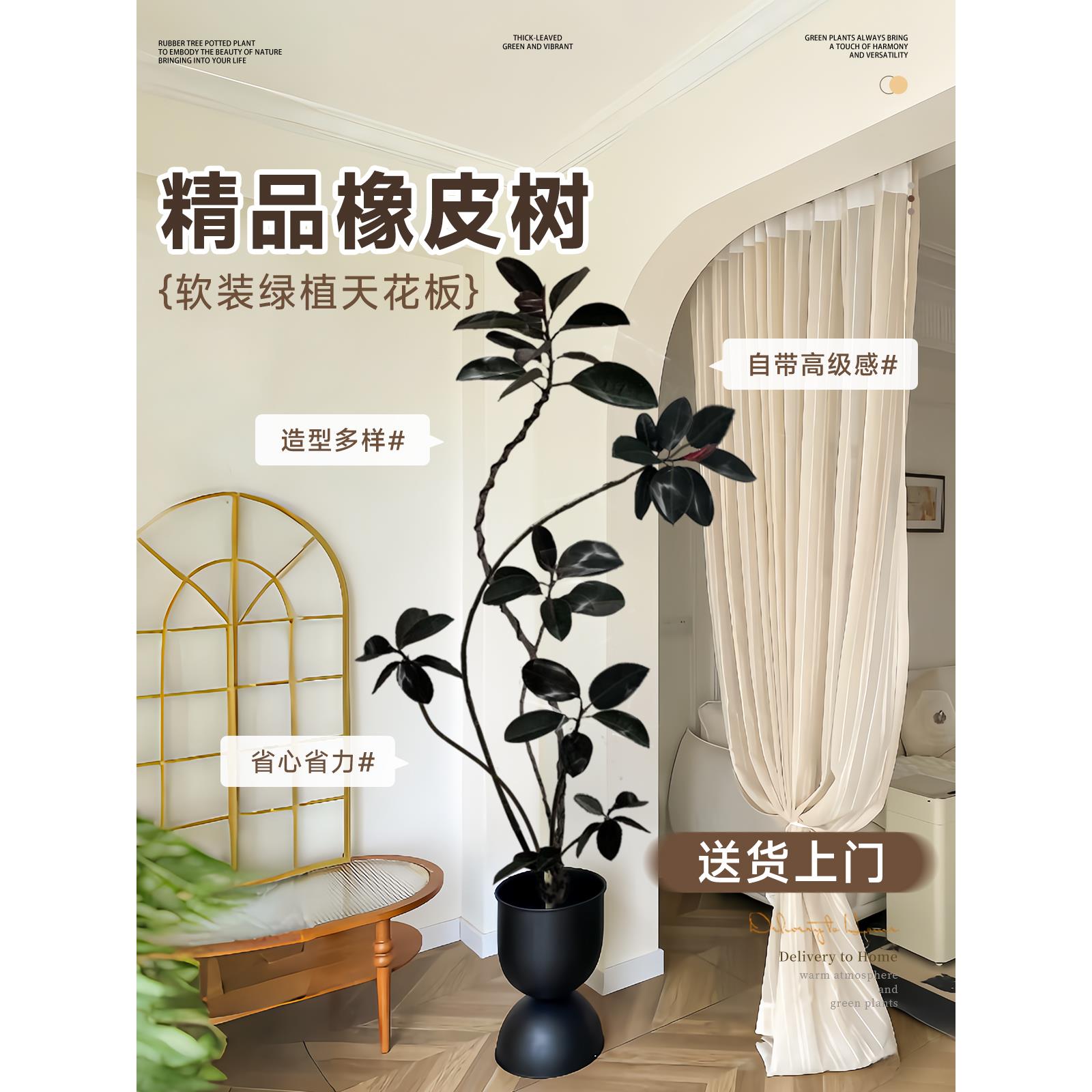 黑金刚橡皮树客厅大盆栽造型室内大型绿植好养四季办公室阳台植物