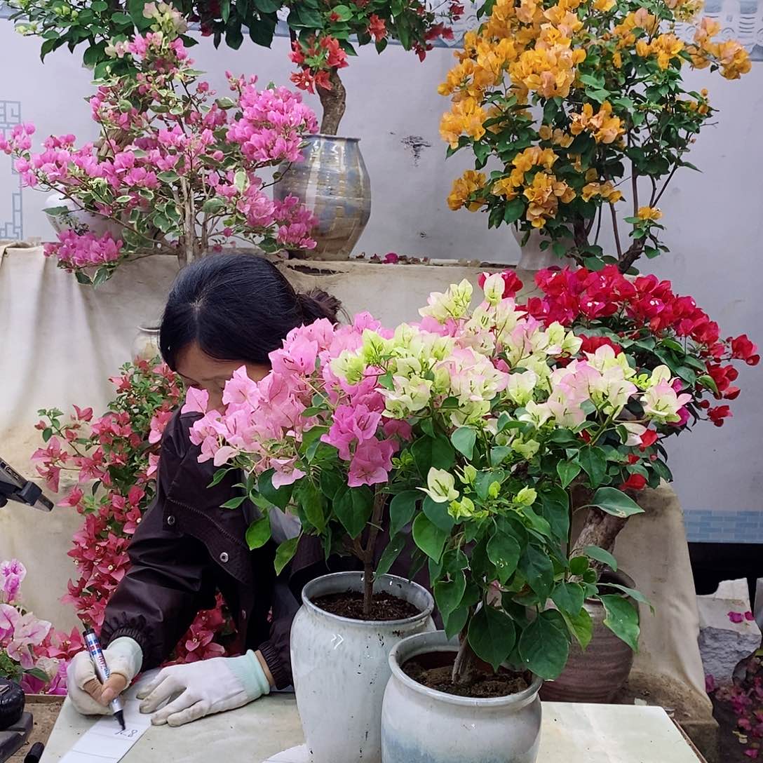 完全开放我要好好学习