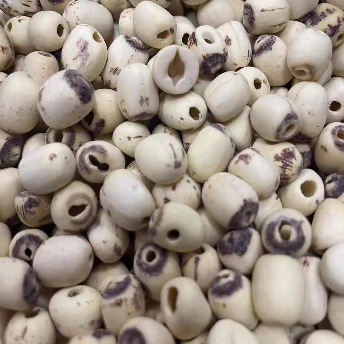 云南现收山货  白~~帘~~~紫+++