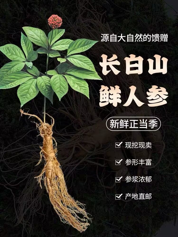 长白山新鲜人参直播间一物一拍改价链接