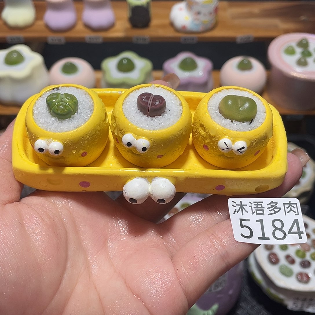 莘***鸭带盆土植物 一物一拍5184