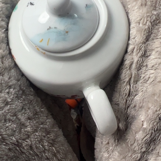 健***，杂色豆（科檀/科特迪瓦檀木）