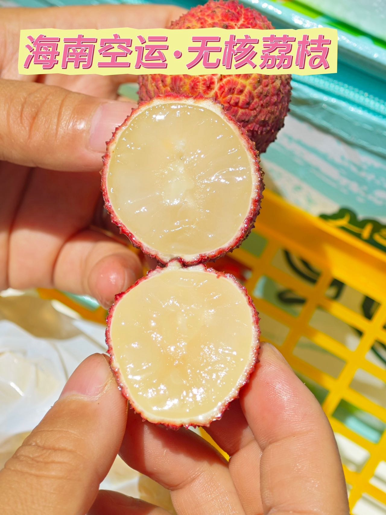 火山岩无核荔枝新球蜜荔现摘现发顺丰空运礼盒装