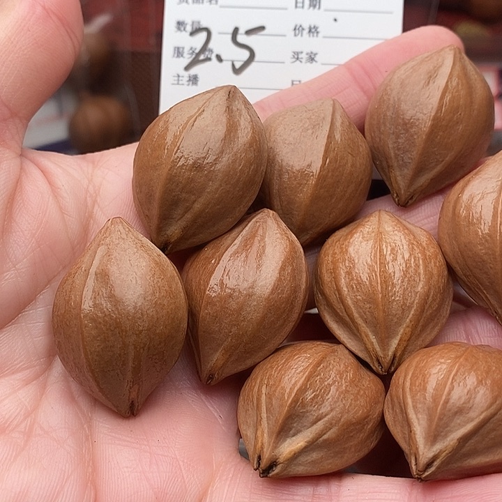 手串/手链橄榄核硬*