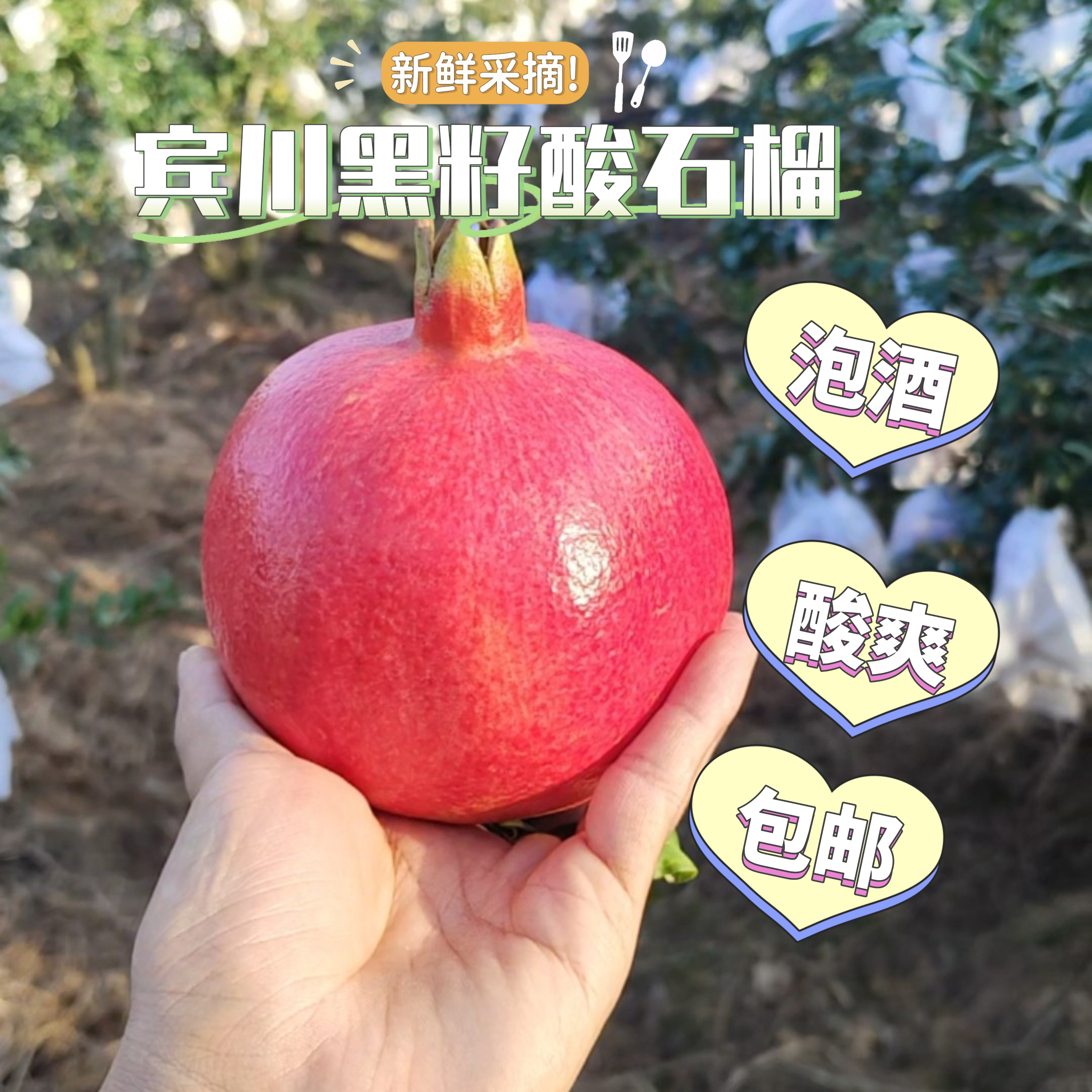 宾川黒籽酸石榴新鲜水果泡酒石榴软籽大果红籽