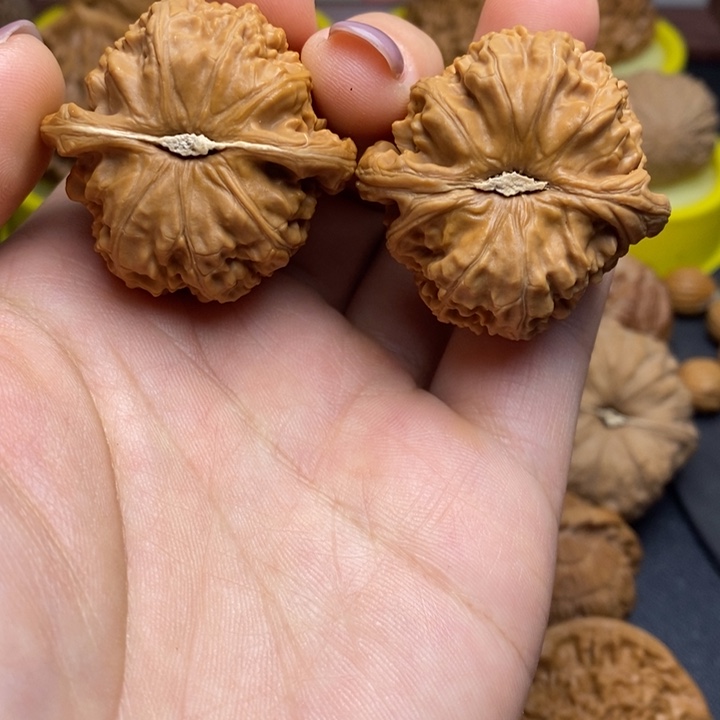 手串/手链核桃39.5尺白狮子