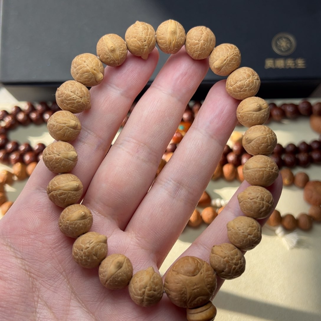 凤眼菩提吊坠Timal树王尺寸13