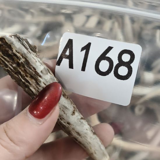 时***转鹿角鹿角鹿角鹿角鹿角