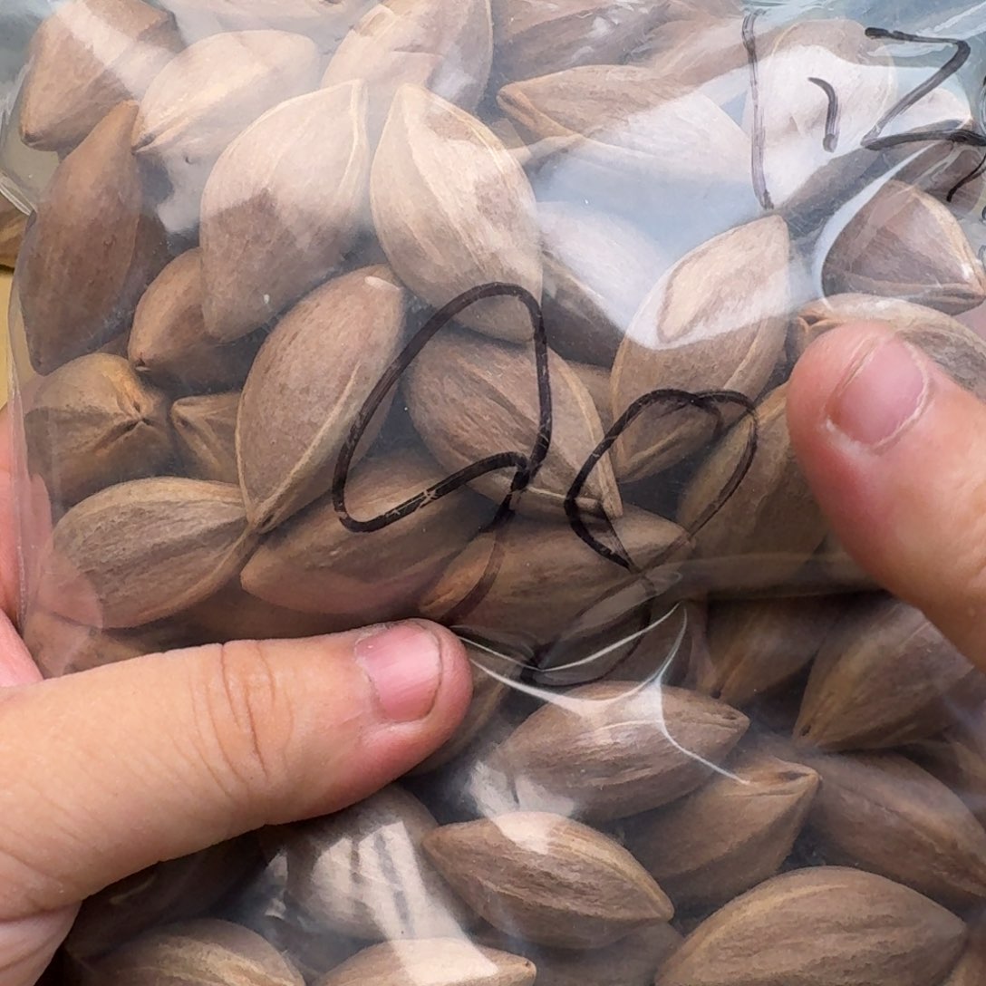 笑***)橄榄核手串/手链1