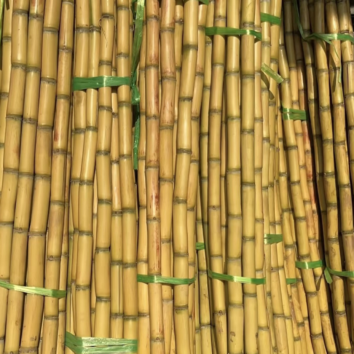 产地直供甘蔗现削一盒清甜脆嫩多汁爽口当季新鲜云南普洱