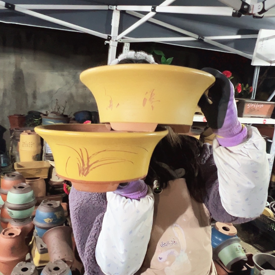 27+27黄票口花盆花盆花盆