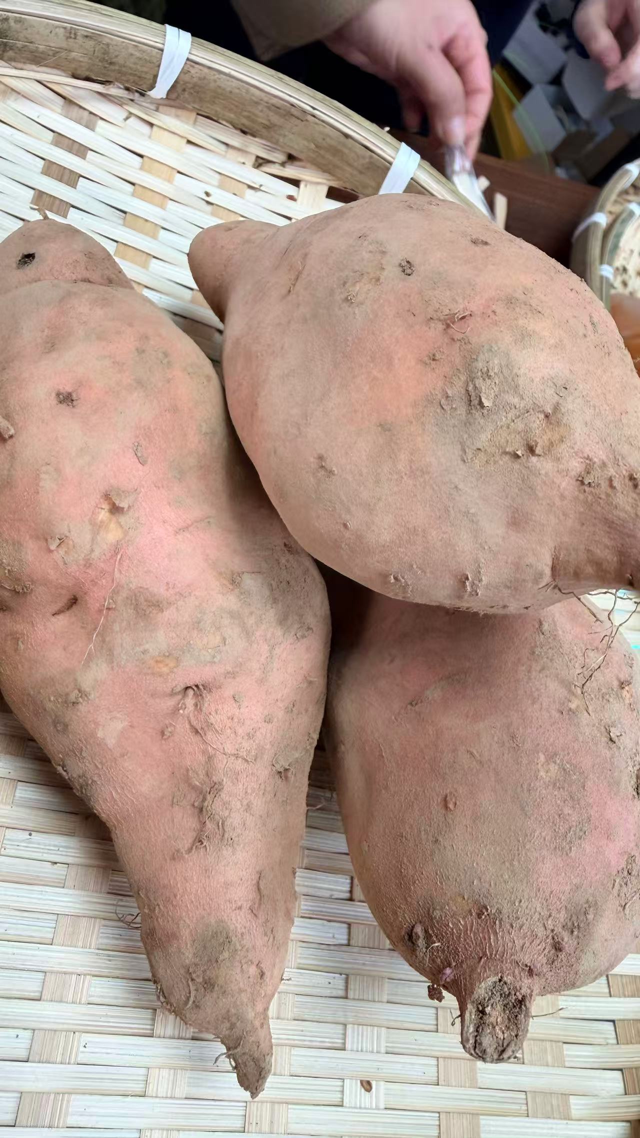 【建中村袁嗲】干黄花菜丝