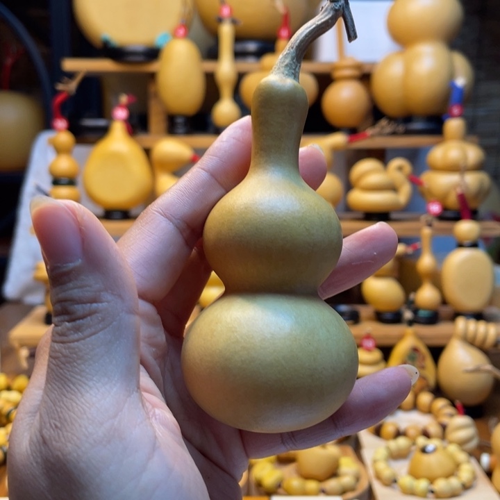 贤***妈天然葫芦自然生长