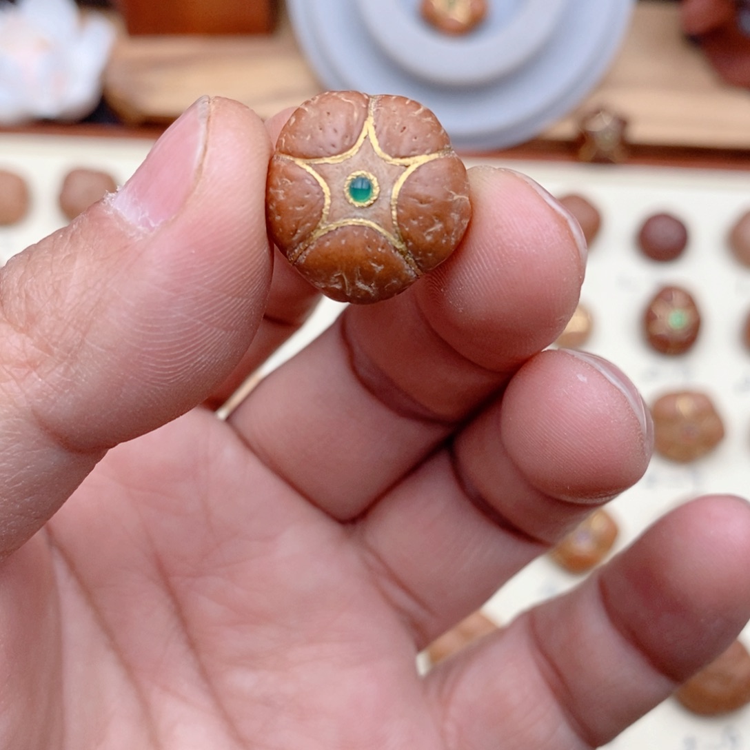 龙眼菩提吊坠切****！五星