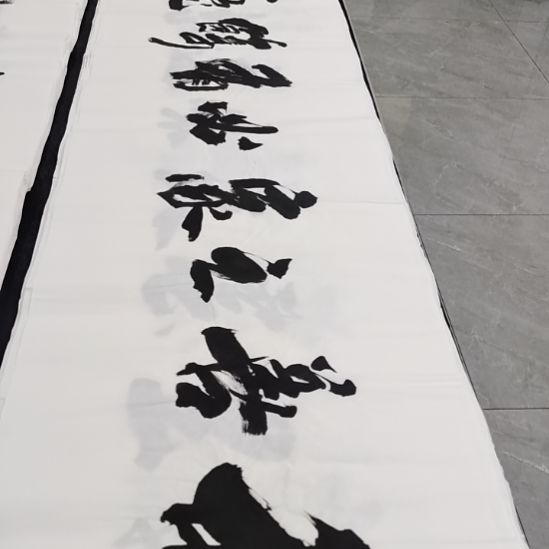 翰墨申国栋老师作品